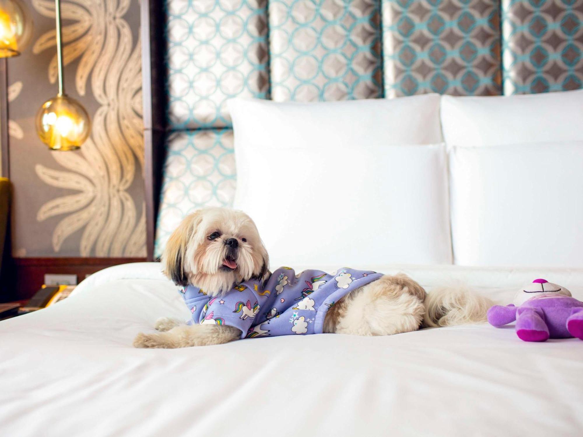 Pullman New Delhi Aerocity المظهر الخارجي الصورة A dog at the Four Seasons Hotel