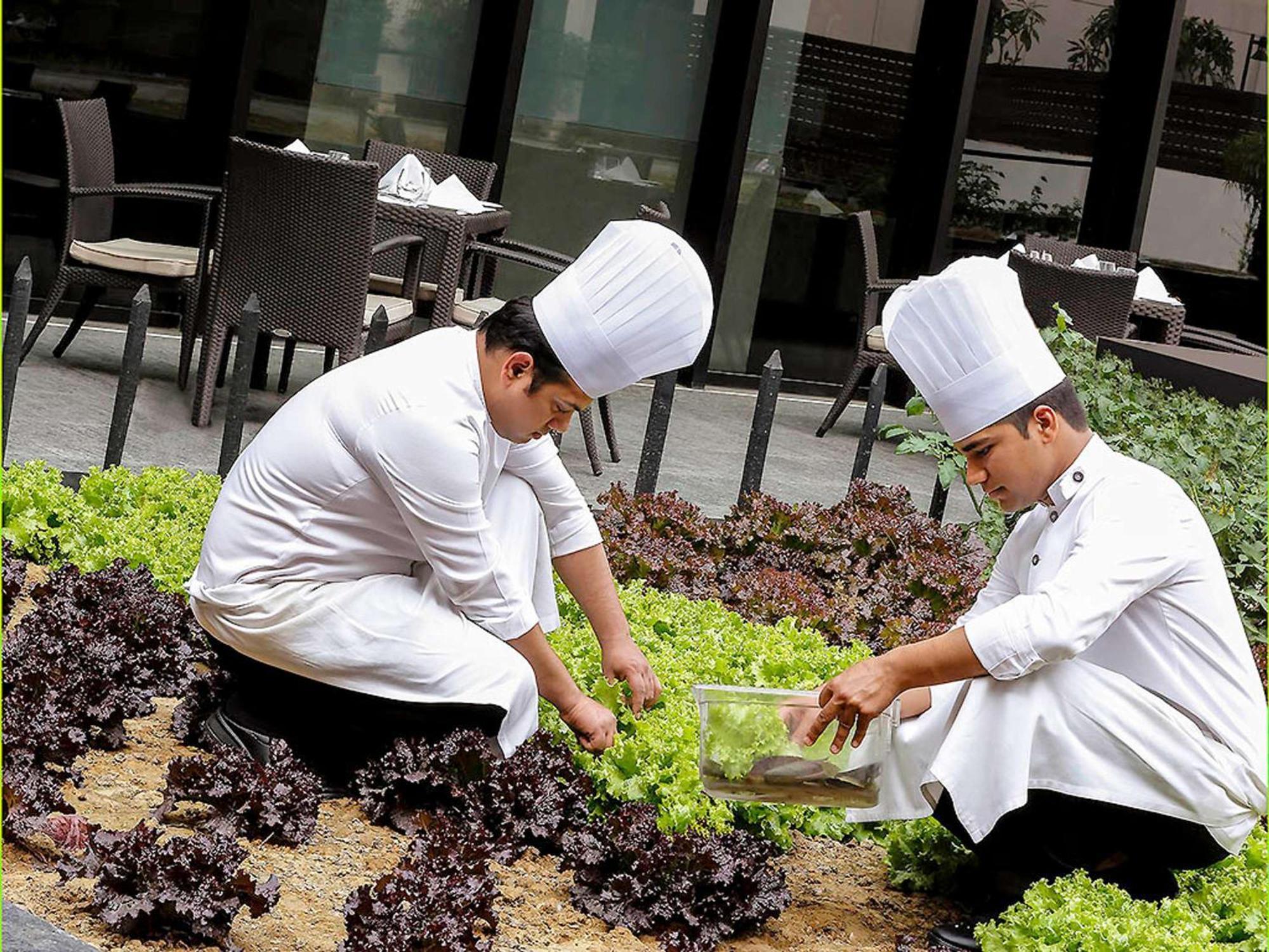 Pullman New Delhi Aerocity المظهر الخارجي الصورة Students working in the school's garden